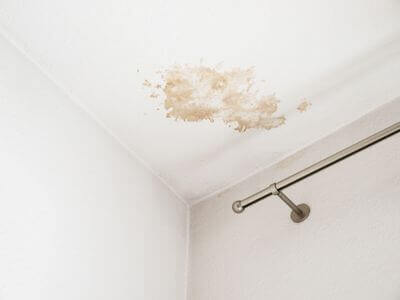 About Wooster OH Mold Remediation Pros - mold remediation experts in Wooster