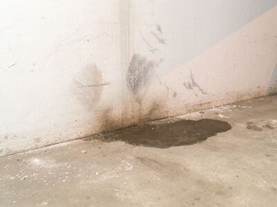 Professional mold remediation services in Wooster